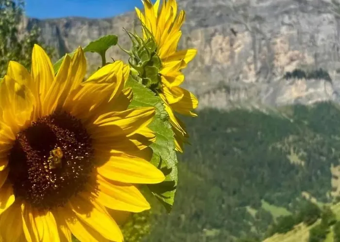 Kristall By Interhome 펜션 알비넨