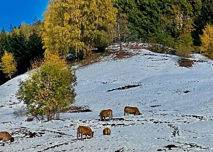 펜션 Kristall By Interhome 알비넨